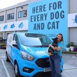 Battersea staff member standing outside a Battersea building, holding a small black dog beside a blue van. Large sign behind reads “Here for every dog and cat”.