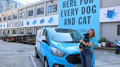 battersea-van-staff-dog-hero