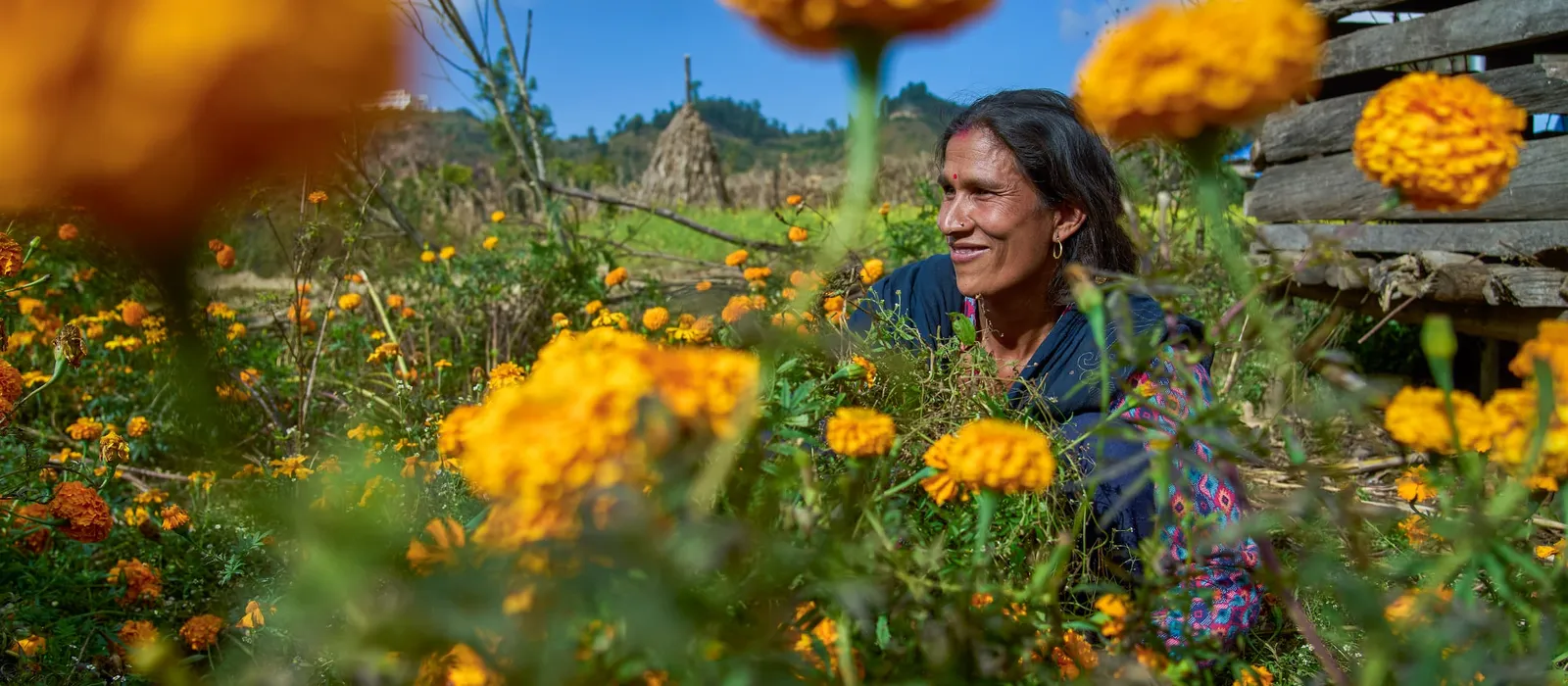 Lady smiling in field of flowers