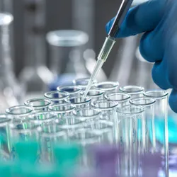 A gloved hand uses a pipette to transfer liquid into a rack of test tubes containing blue and purple solutions in a laboratory.