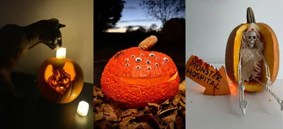A collage of three Halloween pumpkins: a cat sniffing a glowing carving, a googly-eyed pumpkin creature, and a pumpkin with a tiny skeleton nurse beside a ‘Monster Hospital’ sign.