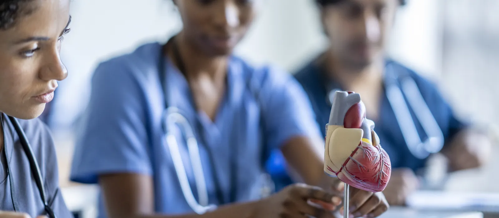 Medical professionals in scrubs sit together at a table, studying a detailed anatomical model of a human heart. One person adjusts the model while others look on attentively, with laptops and notebooks in front of them.