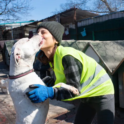 An elderly woman sits on a purple couch, smiling while wrapped in a light-colored blanket. She appears to be opening or looking at presents, with a wrapped gift box visible beside her. The room has a homey feel with plants and books in the background.