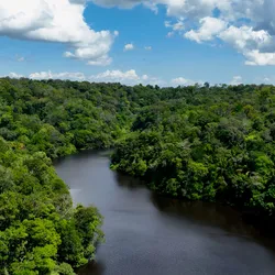 A winding river cuts through the lush green canopy of the Amazon Rainforest under a bright blue sky filled with scattered white clouds. The dense tropical vegetation stretches across rolling terrain, showcasing the vast scale and biodiversity of the jungle.
