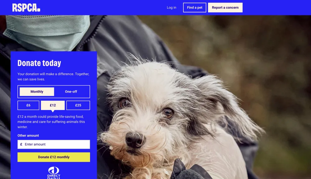 RSPCA donation page featuring a close-up image of a small dog being held, next to a donation form encouraging monthly support with preset amounts and messaging about providing food, medicine and care for animals.
